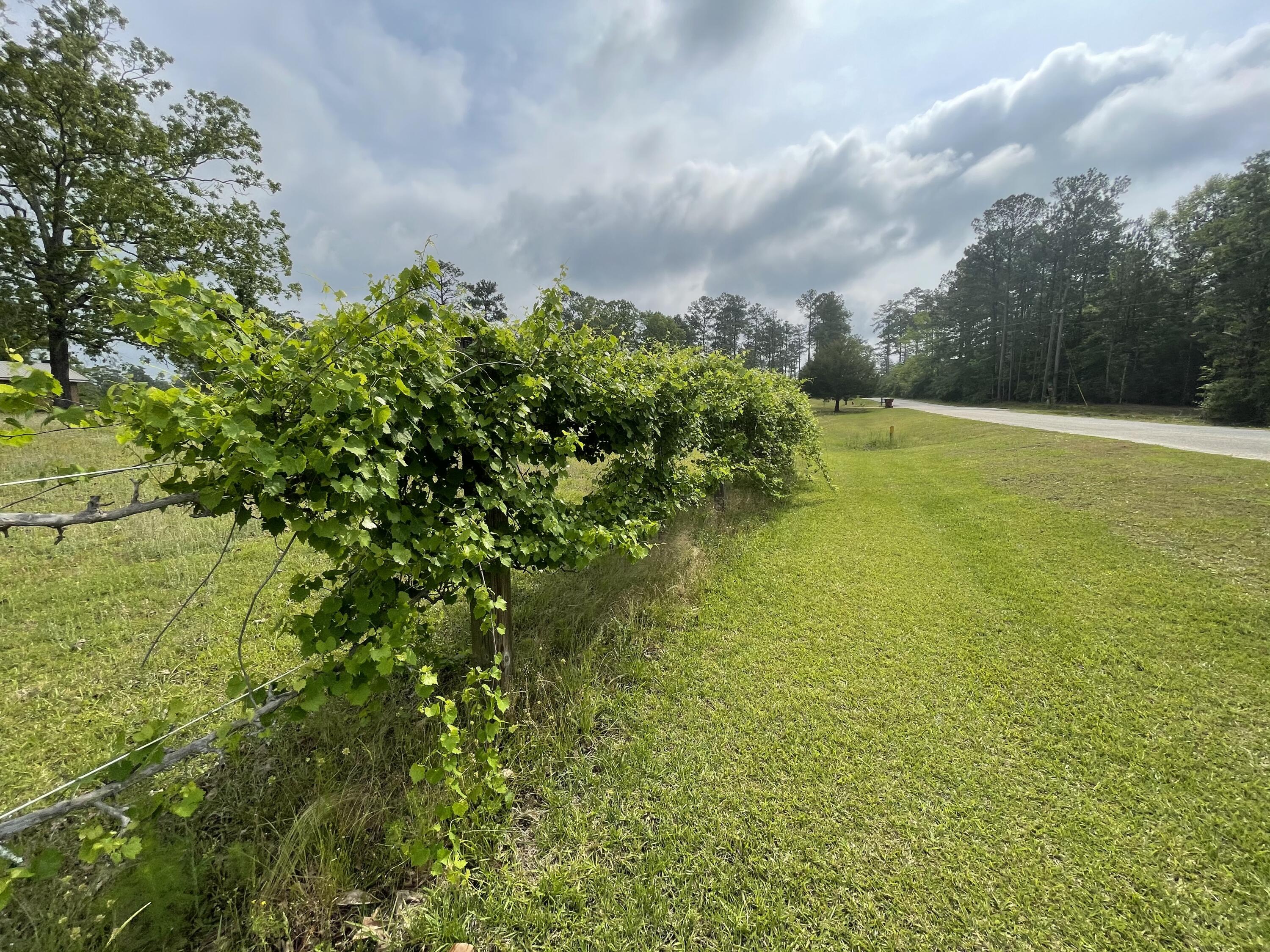 12.49-ac State Line Road Baker, FL 32531 - Photo 1 of 41 a view of a lake view