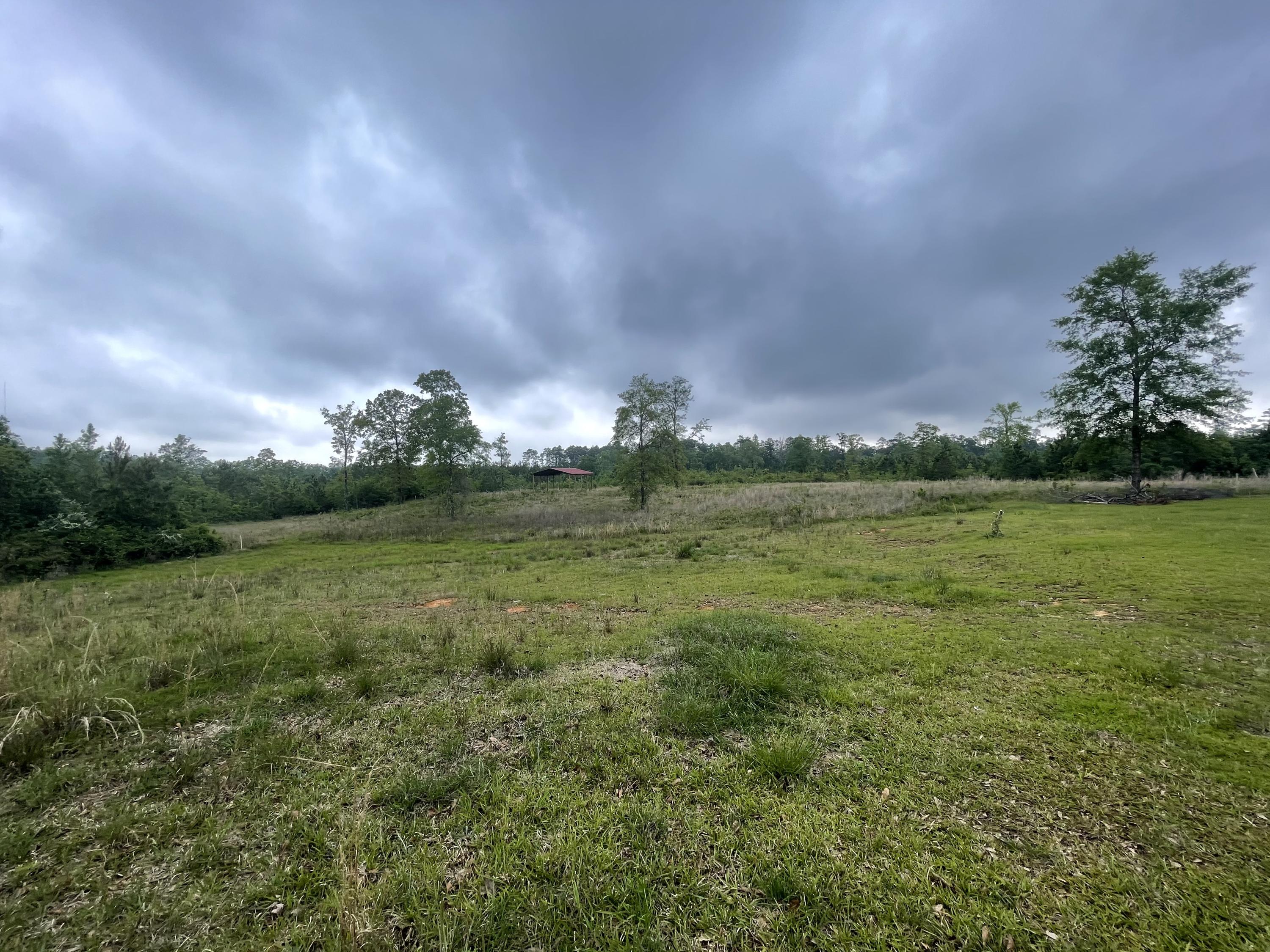 12.49-ac State Line Road Baker, FL 32531 - Photo 20 of 41 a view of a field with an trees in the background