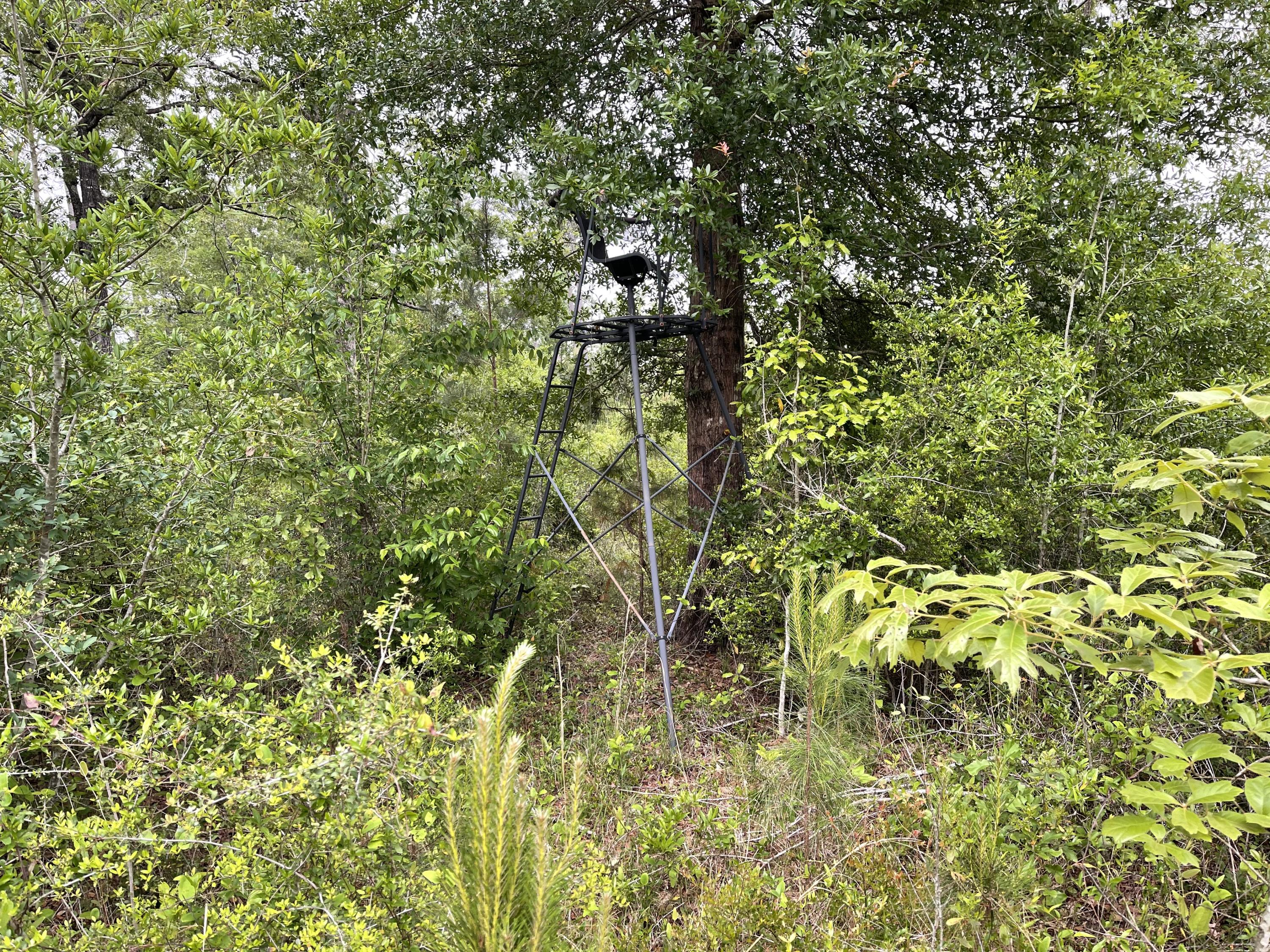 12.49-ac State Line Road Baker, FL 32531 - Photo 25 of 41 a view of a tree with a yard
