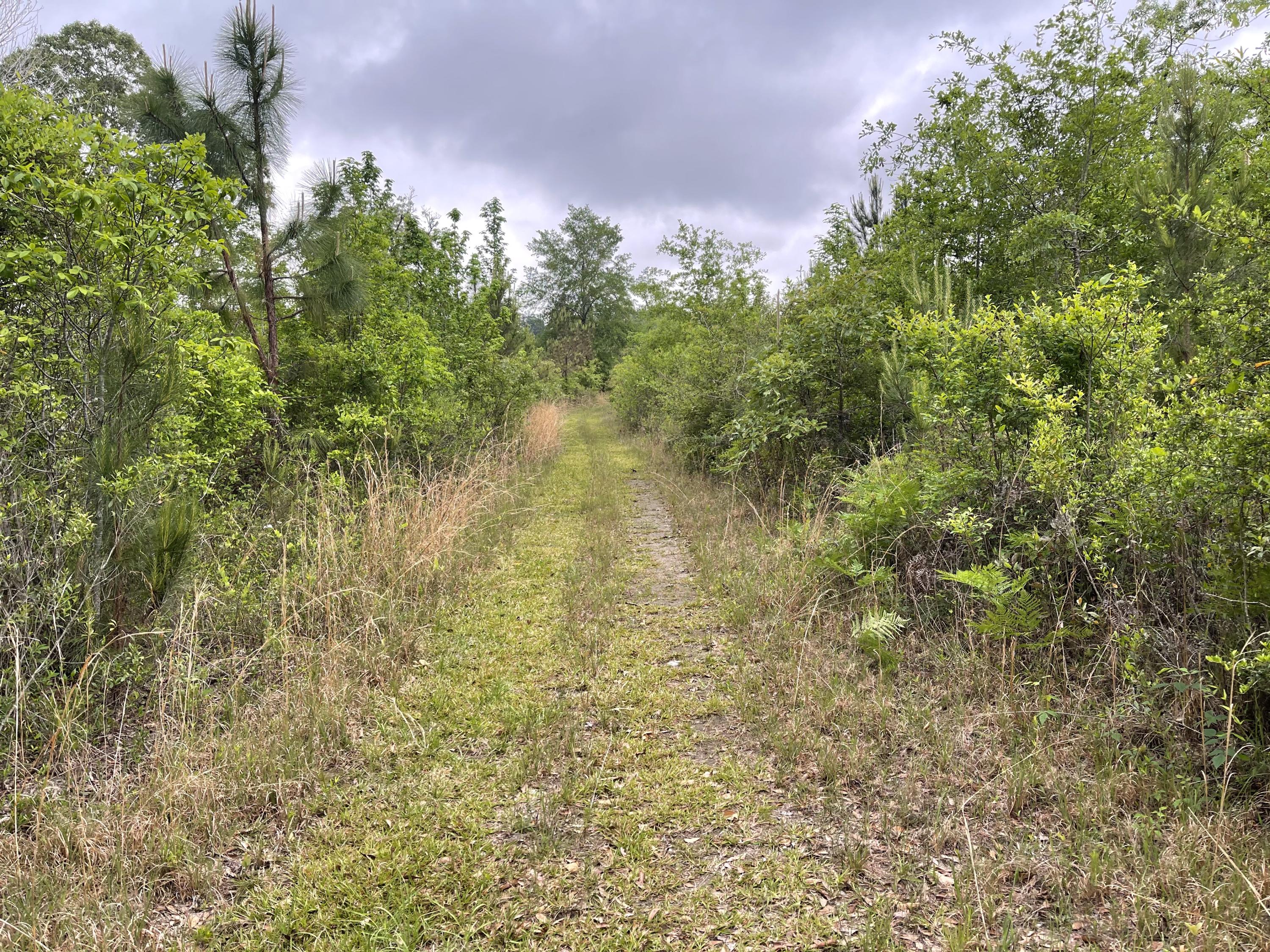 12.49-ac State Line Road Baker, FL 32531 - Photo 26 of 41 a view of a garden