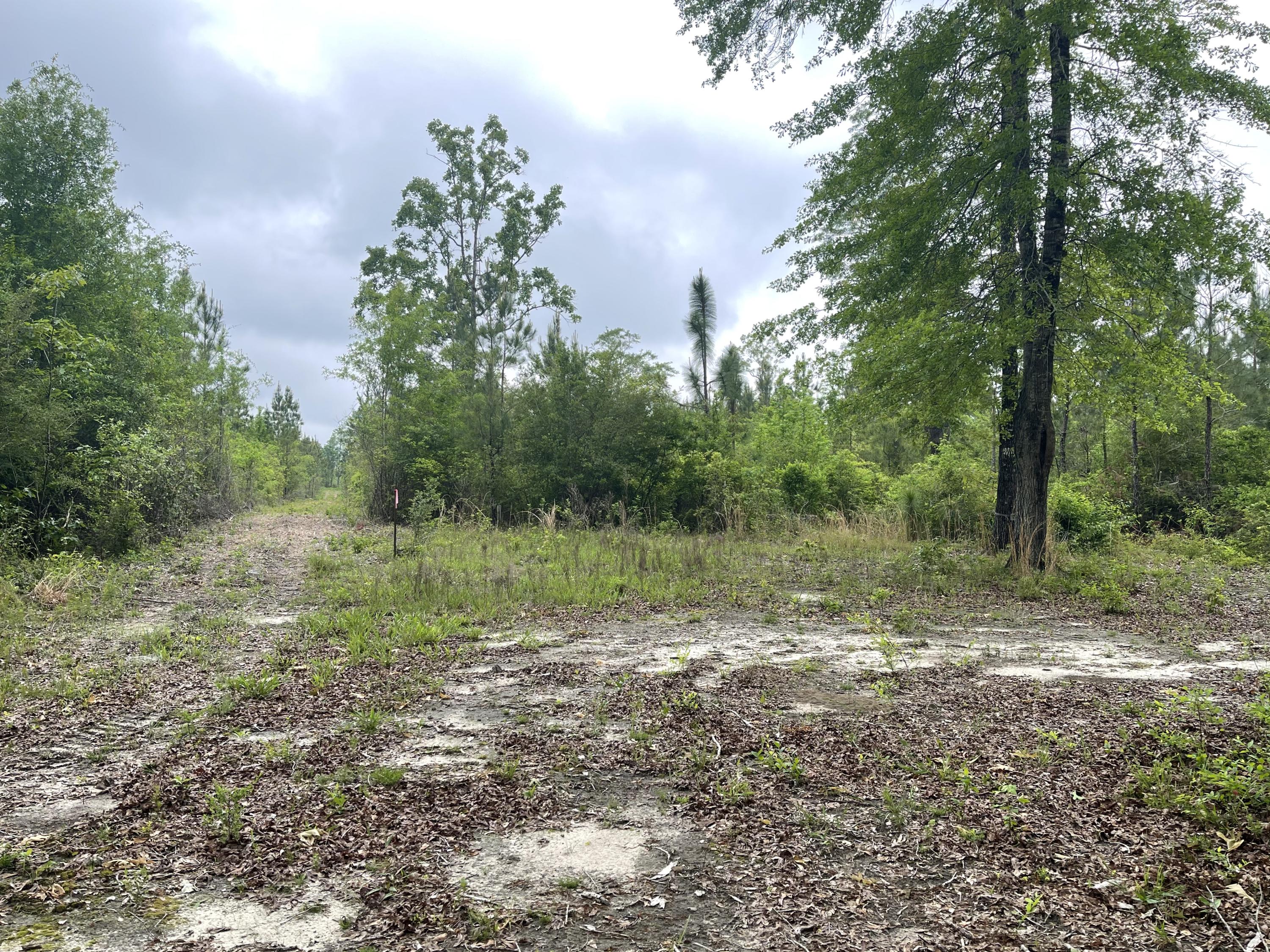 12.49-ac State Line Road Baker, FL 32531 - Photo 33 of 41 a view of outdoor space with green field and trees all around
