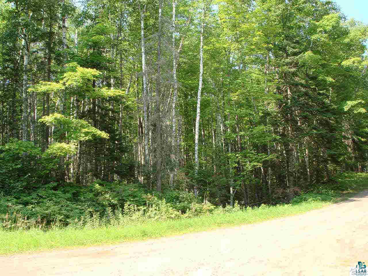Tbd Raspberry Road Bayfield, WI 54814 - Photo 2 of 9 Gallery Image 2