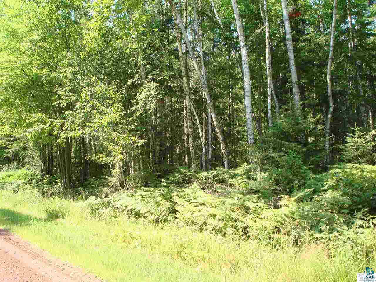 Tbd Raspberry Road Bayfield, WI 54814 - Photo 3 of 9 Gallery Image 3