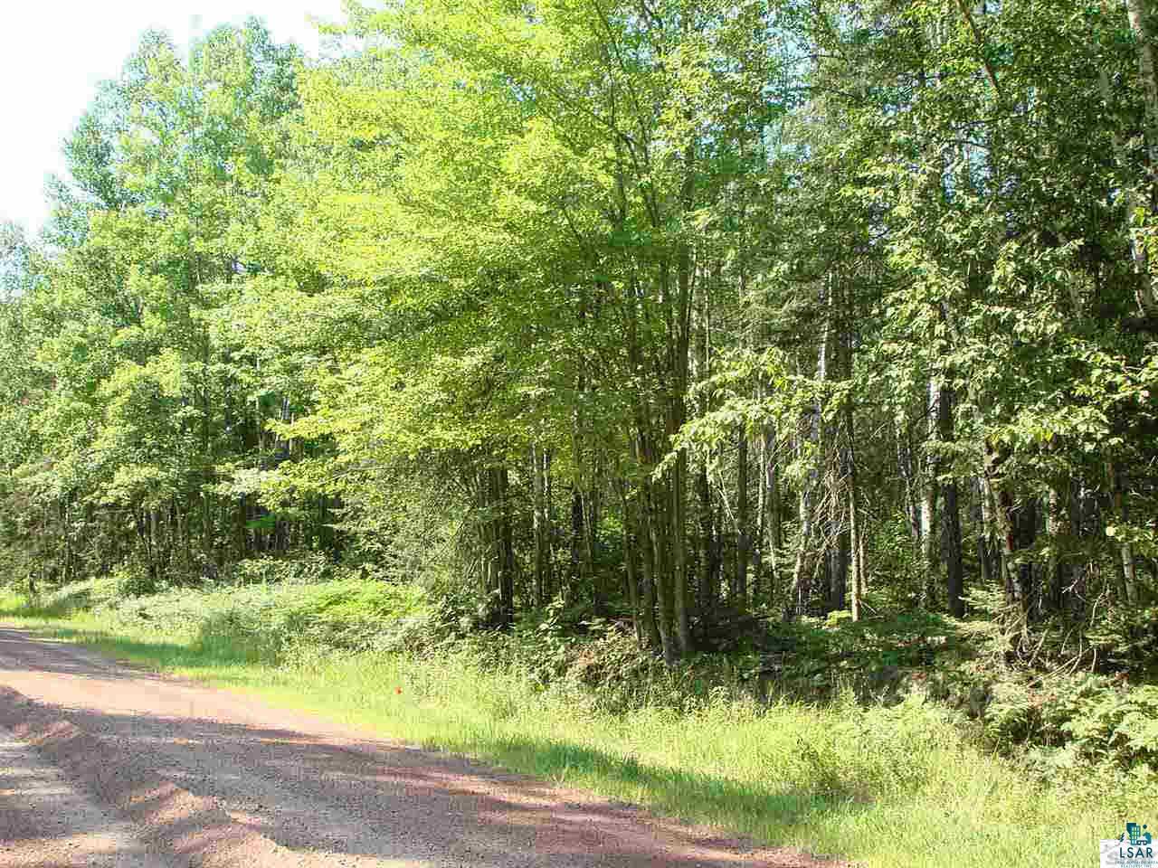 Tbd Raspberry Road Bayfield, WI 54814 - Photo 4 of 9 Gallery Image 4