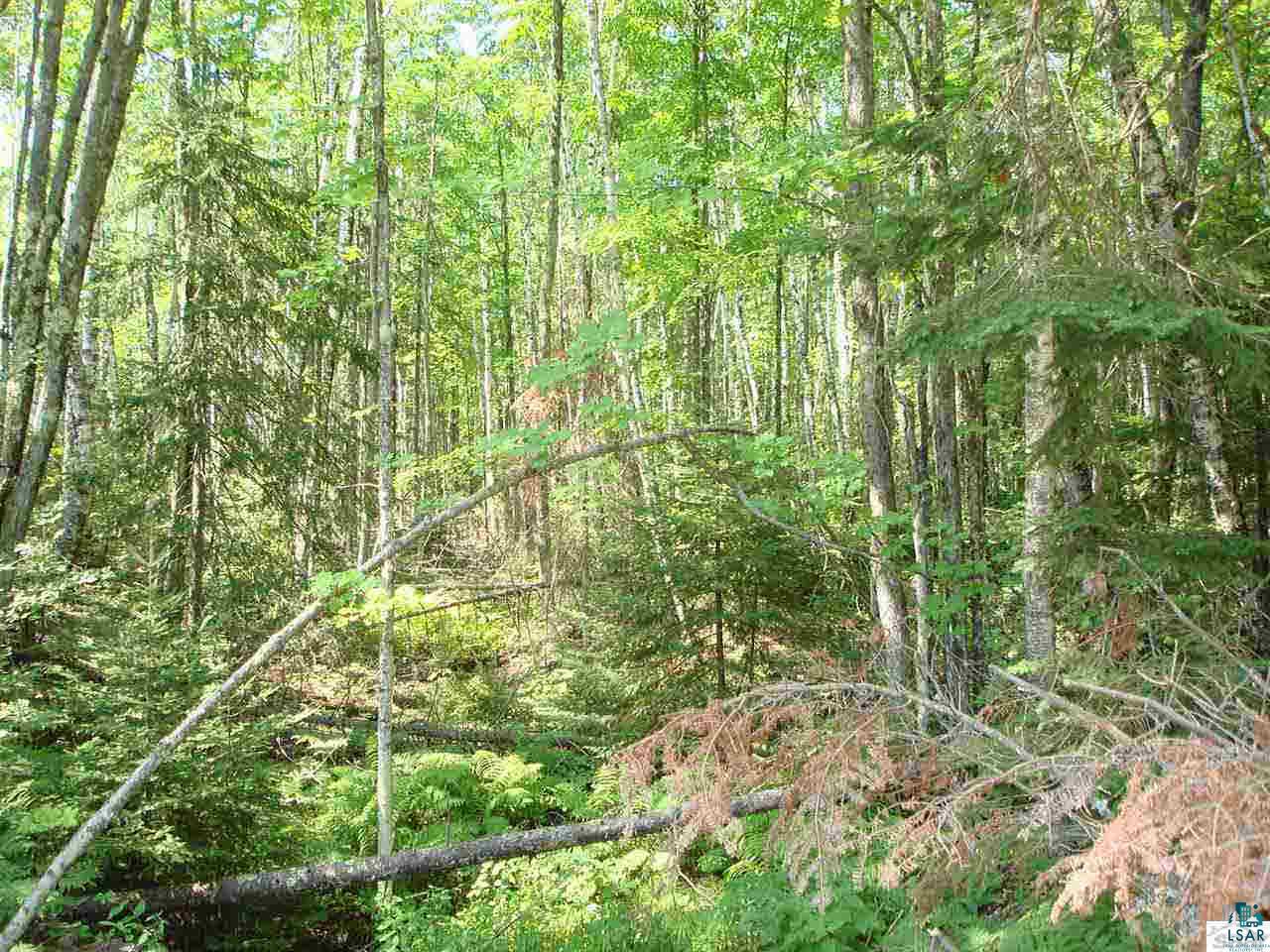 Tbd Raspberry Road Bayfield, WI 54814 - Photo 5 of 9 Gallery Image 5