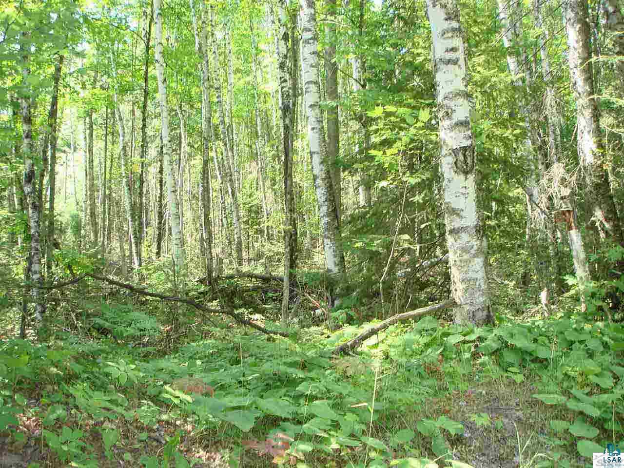 Tbd Raspberry Road Bayfield, WI 54814 - Photo 6 of 9 Gallery Image 6