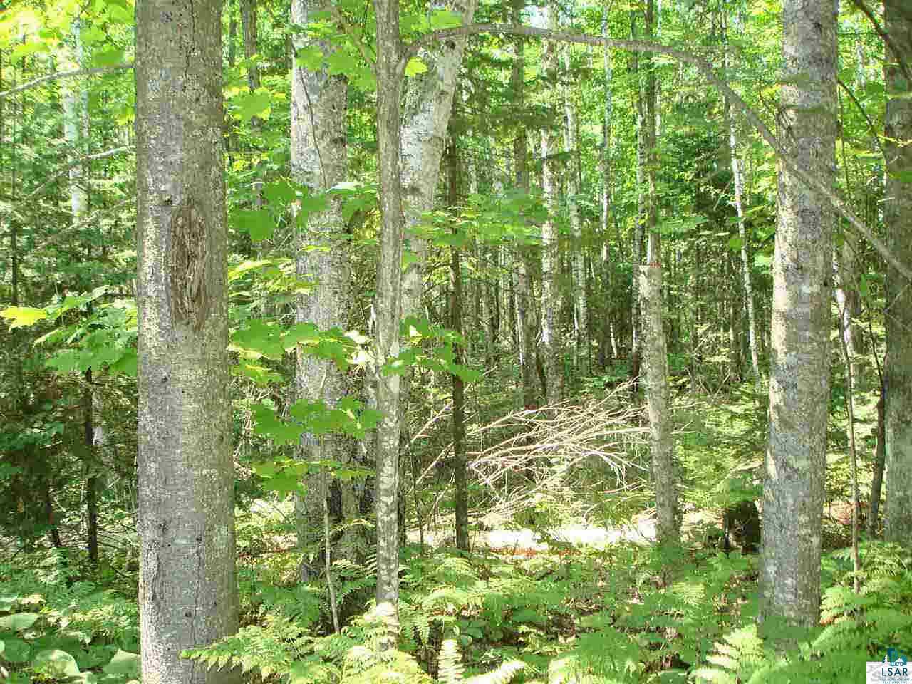 Tbd Raspberry Road Bayfield, WI 54814 - Photo 7 of 9 Gallery Image 7
