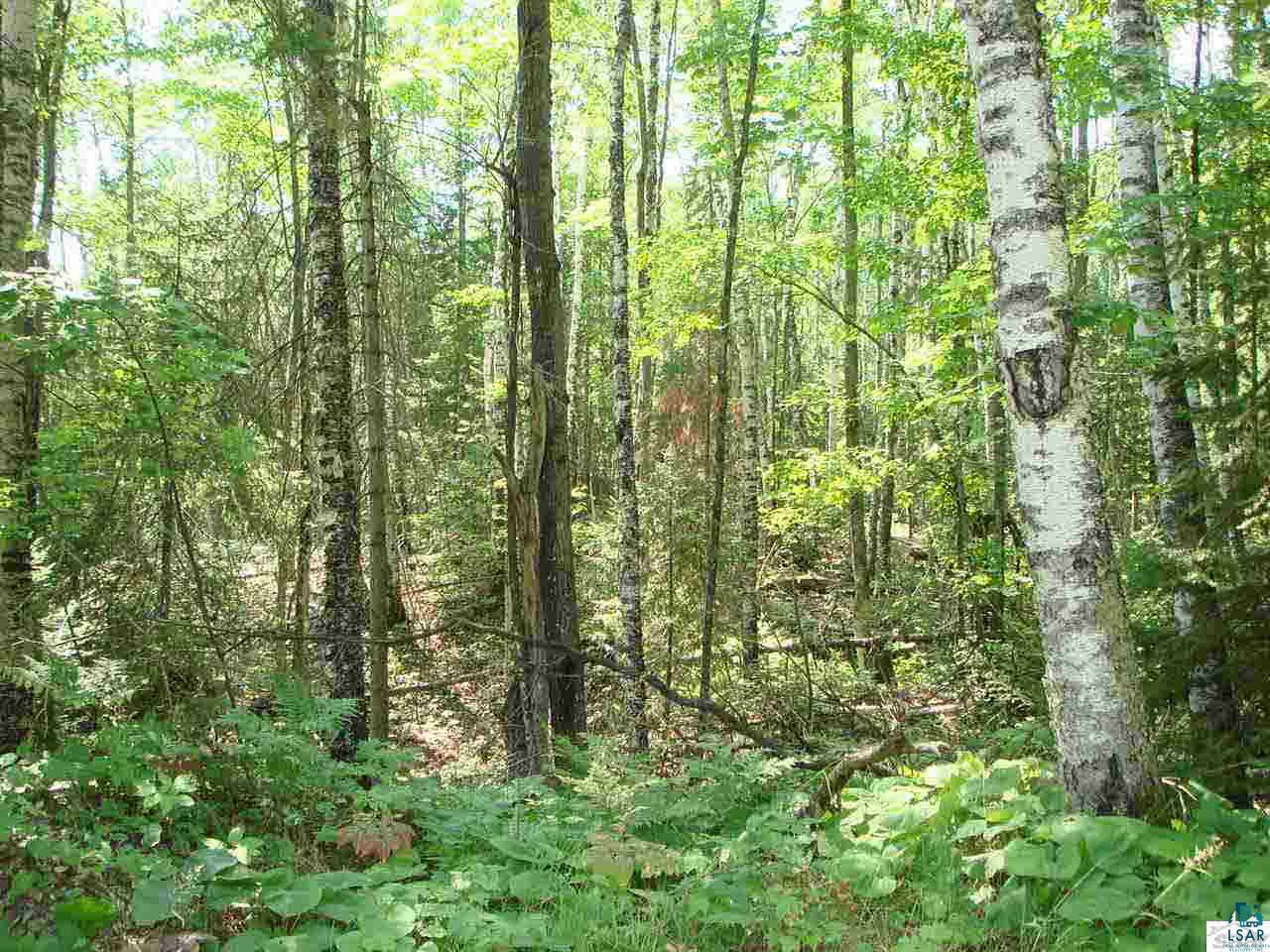 Tbd Raspberry Road Bayfield, WI 54814 - Photo 9 of 9 Gallery Image 9