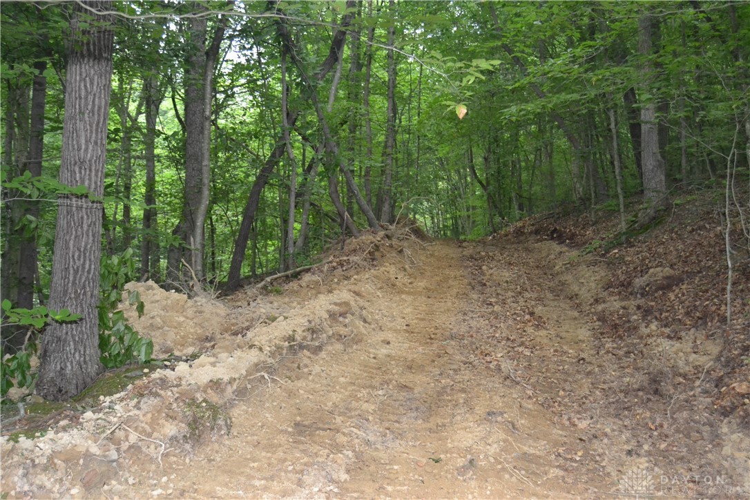 94-acres Naces Run Road Stout, OH 45684 - Photo 19 of 36 Gallery Image 19