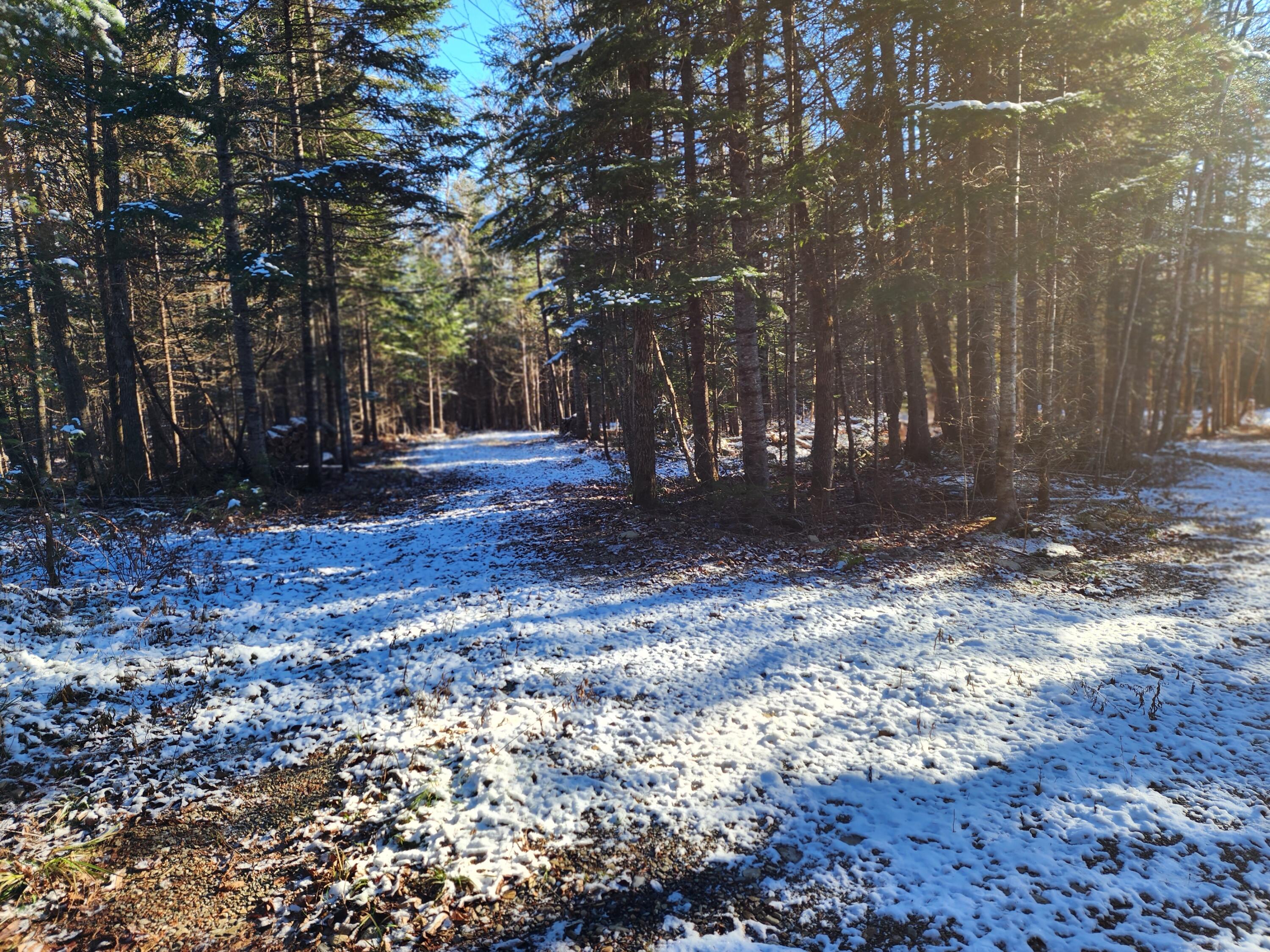 454 Smyrna Center Road Smyrna, ME 04780 - Photo 2 of 5 20231121_131631