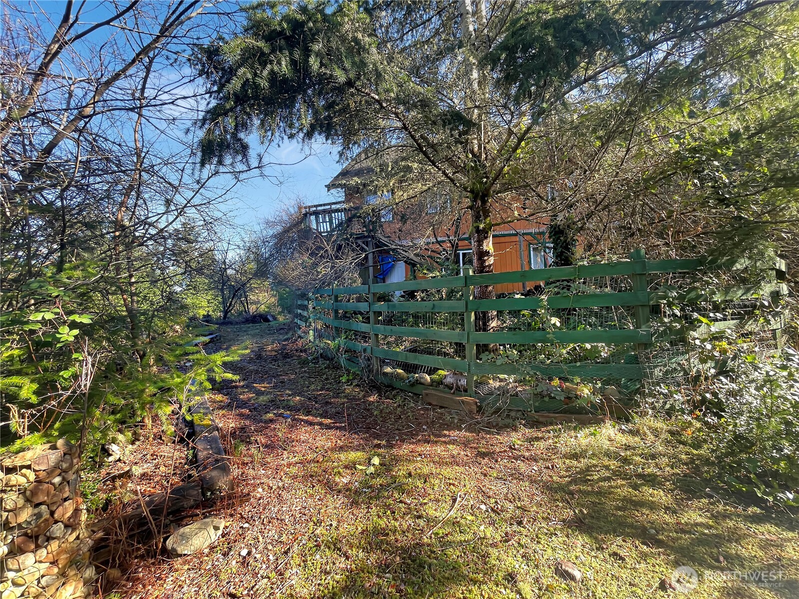 11 North Hamma Ridge Drive Lilliwaup, WA 98555 - Photo 11 of 40 a backyard of a house with lots of green space