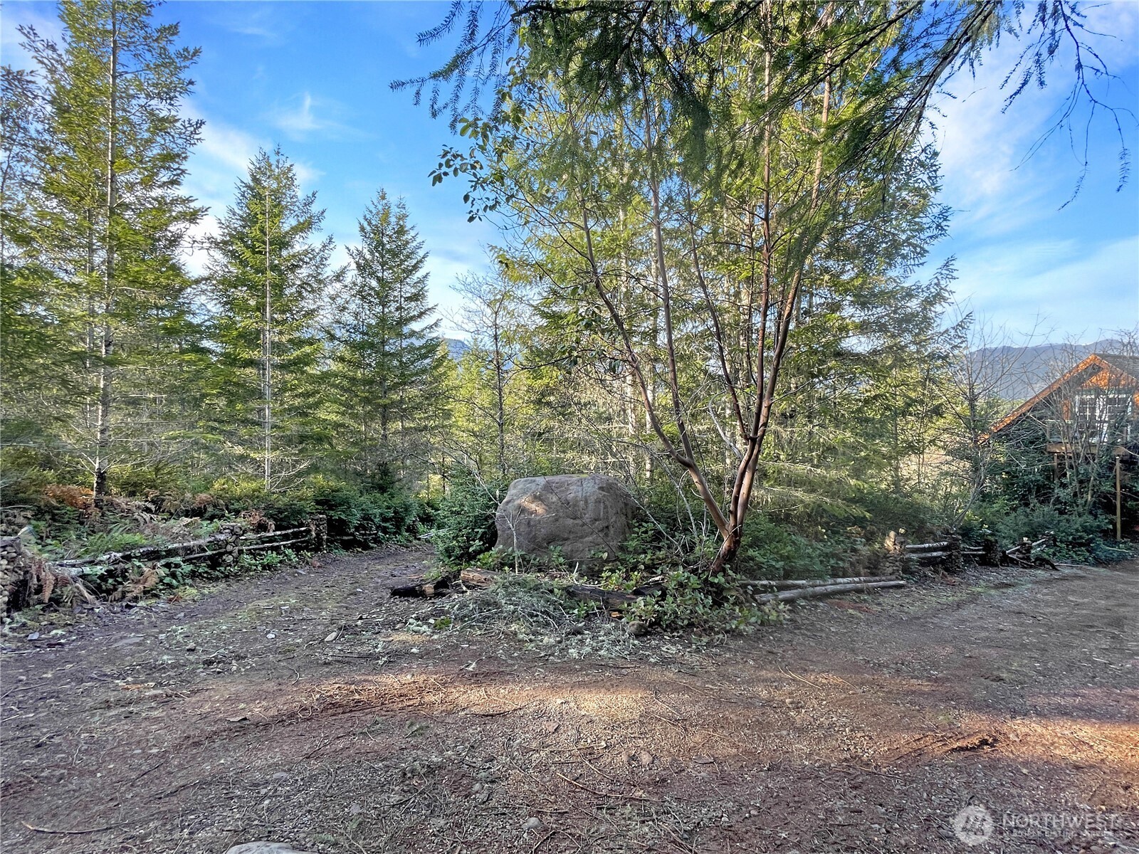 11 North Hamma Ridge Drive Lilliwaup, WA 98555 - Photo 39 of 40 a backyard of a house with lots of green space