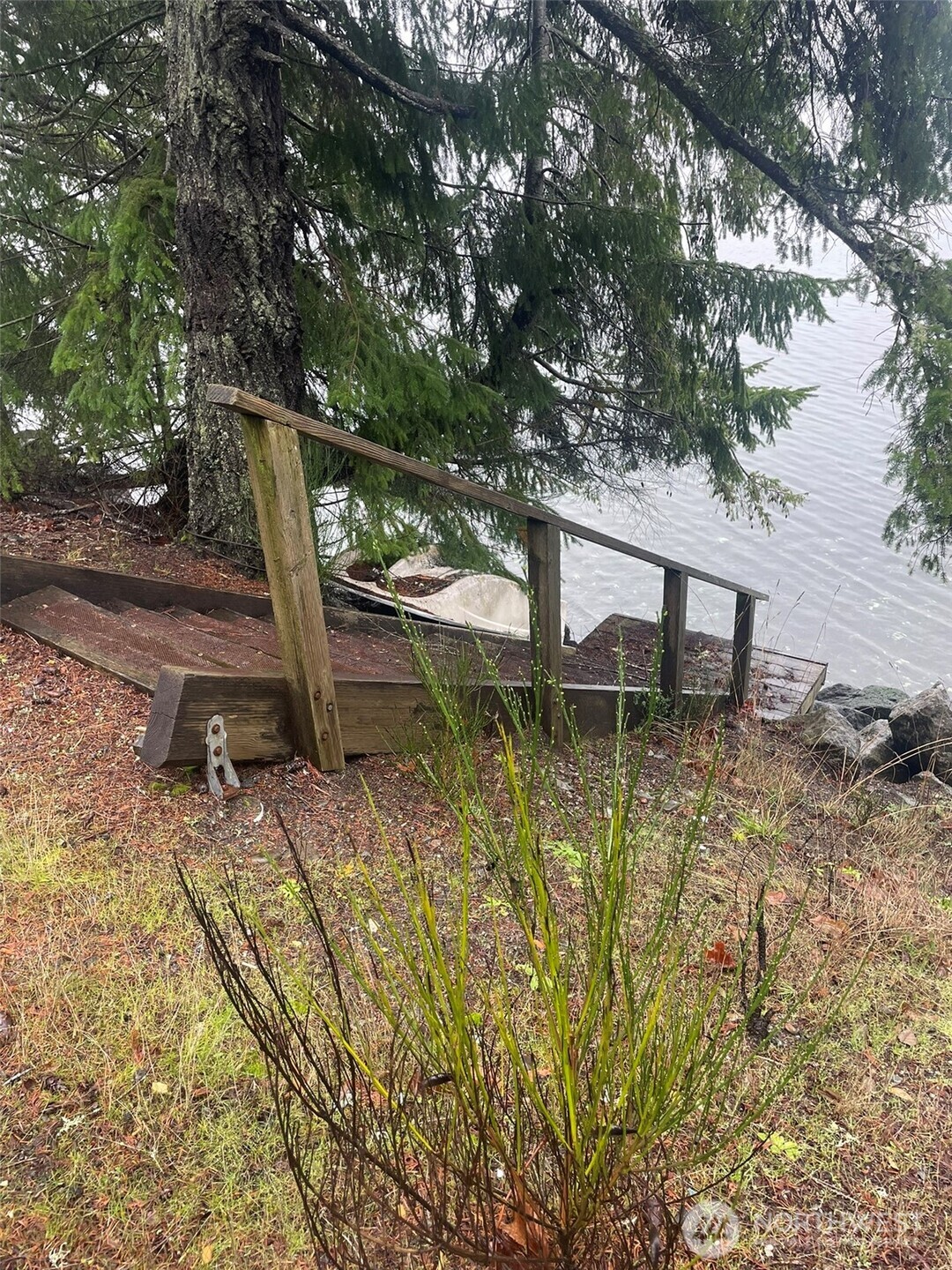 11 North Hamma Ridge Drive Lilliwaup, WA 98555 - Photo 40 of 40 a view of a lake with a tree