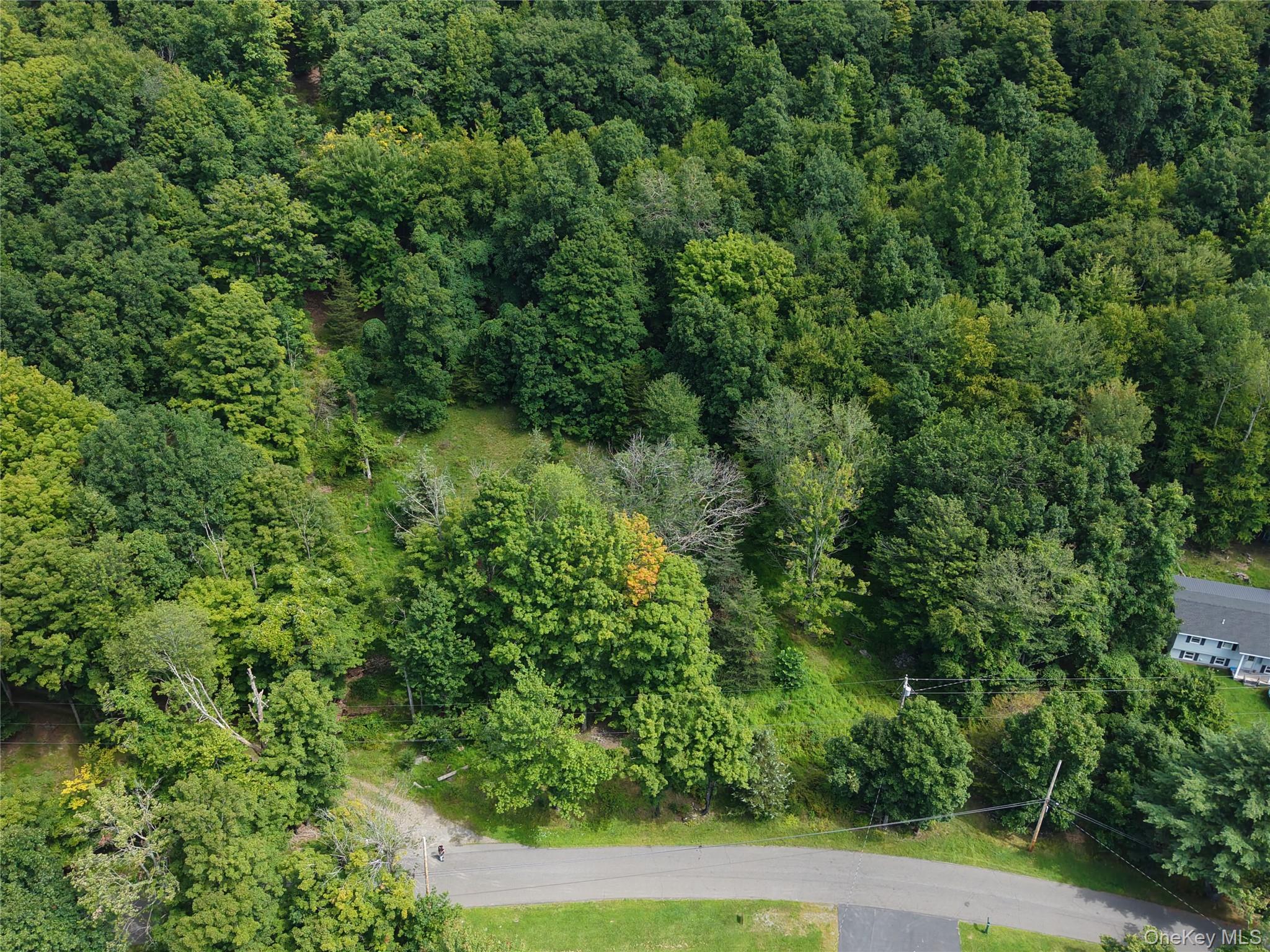 Twinshaven Road Neversink, NY 12765 - Photo 19 of 20 Gallery Image 19