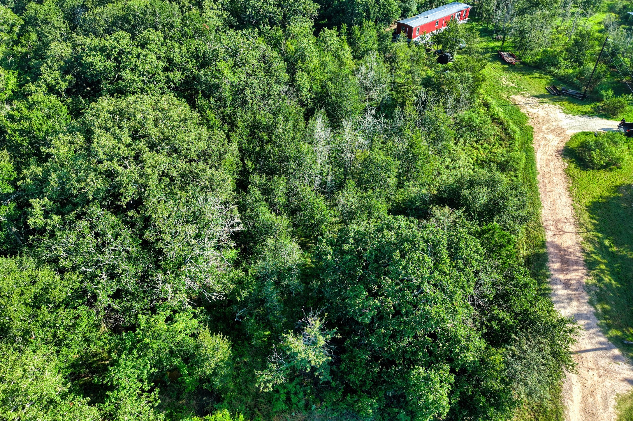 805 Wilderness Road Somerville, TX 77879 - Photo 17 of 19 Gallery Image 17