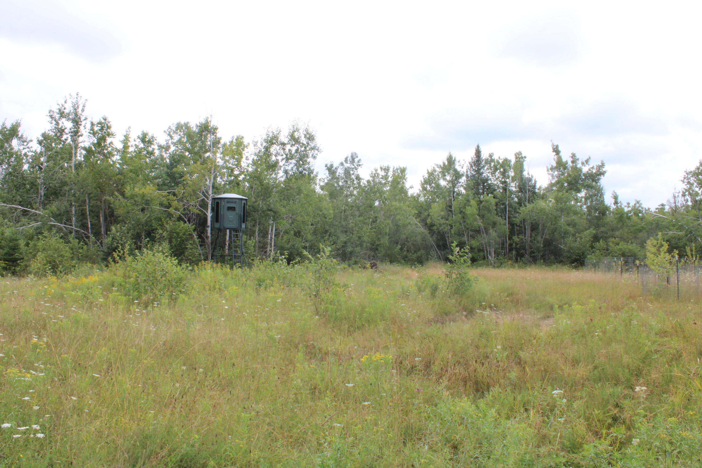 3250 Woiderski Road Cheboygan, MI 49721 - Photo 69 of 79 IMG_6208