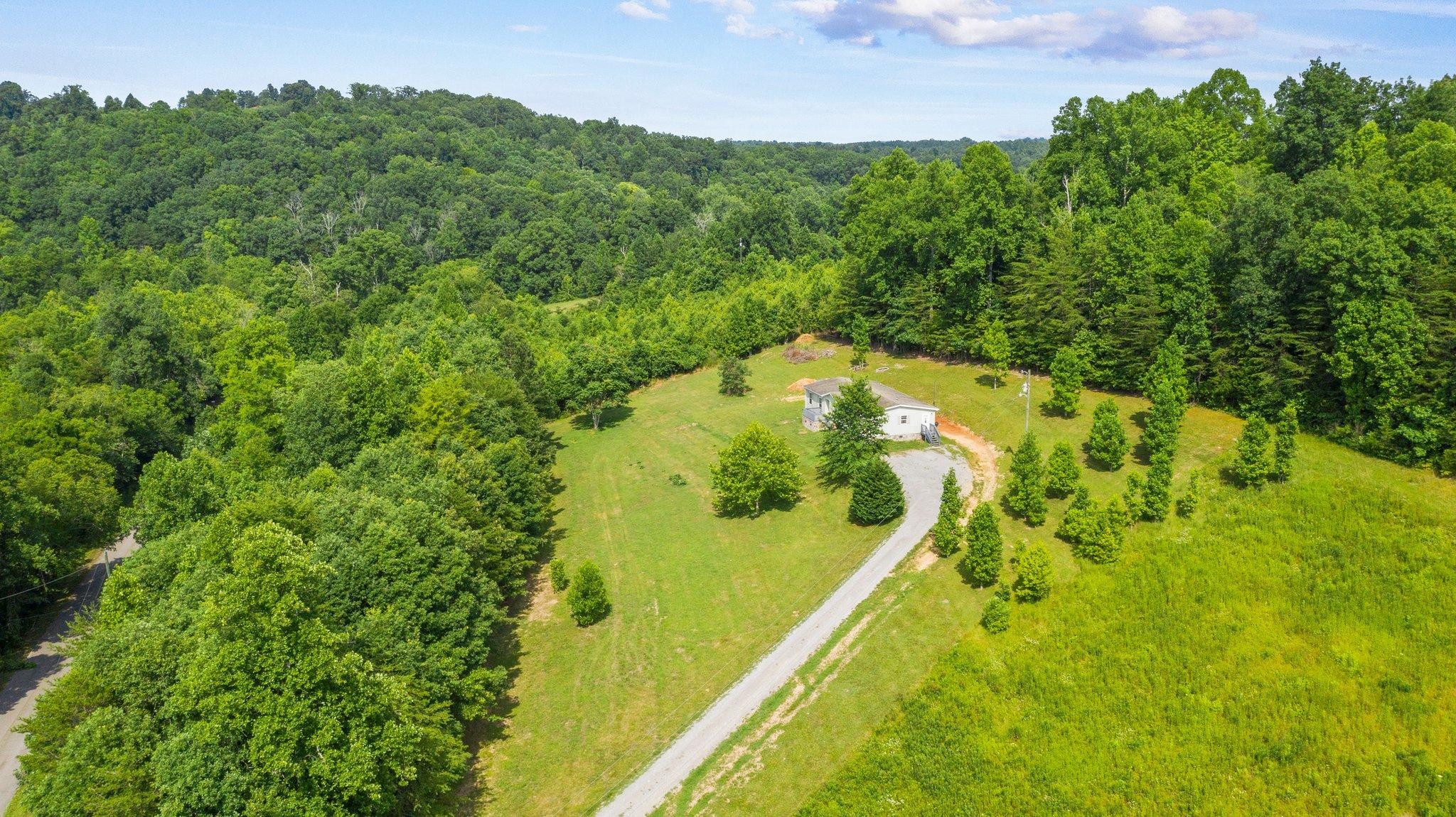 171 Buckner Road Philadelphia, TN 37846 - Photo 10 of 27 a view of a yard with plants