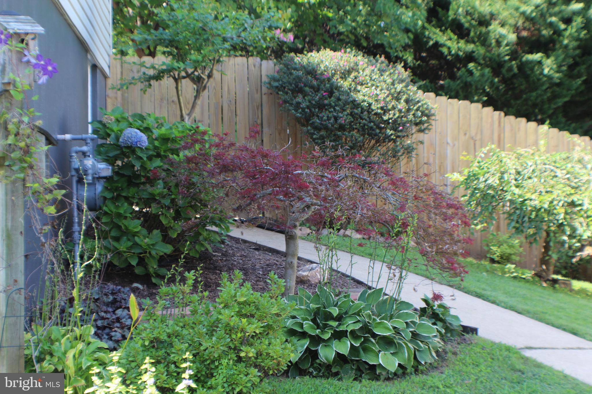 14308 Ferndale Road Woodbridge, VA 22193 - Photo 44 of 65 Side yard and walkway to rear yard