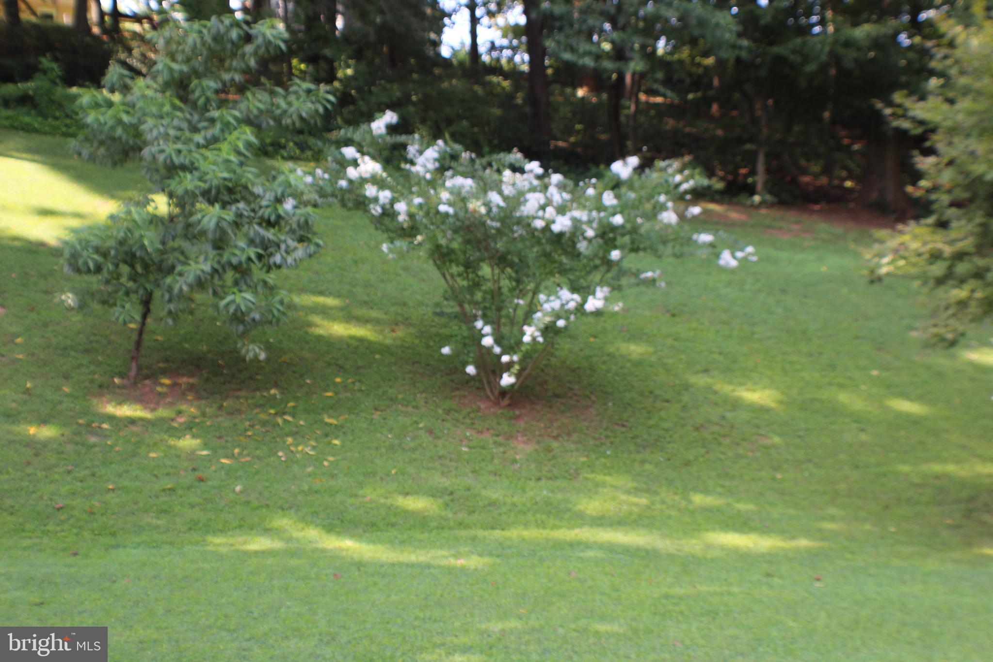 14308 Ferndale Road Woodbridge, VA 22193 - Photo 55 of 65 Peaceful park like setting, in rear yard
