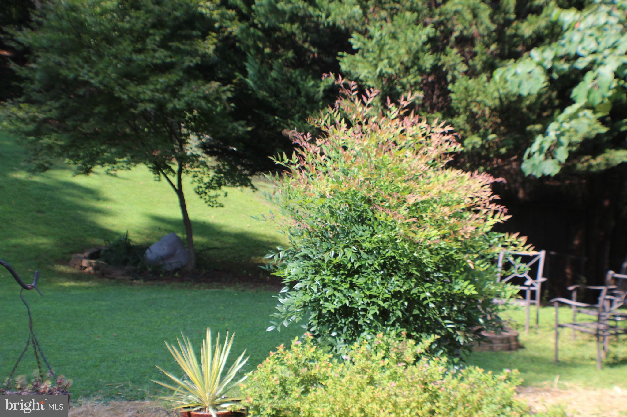 14308 Ferndale Road Woodbridge, VA 22193 - Photo 57 of 65 Landscaping is well planned and designed