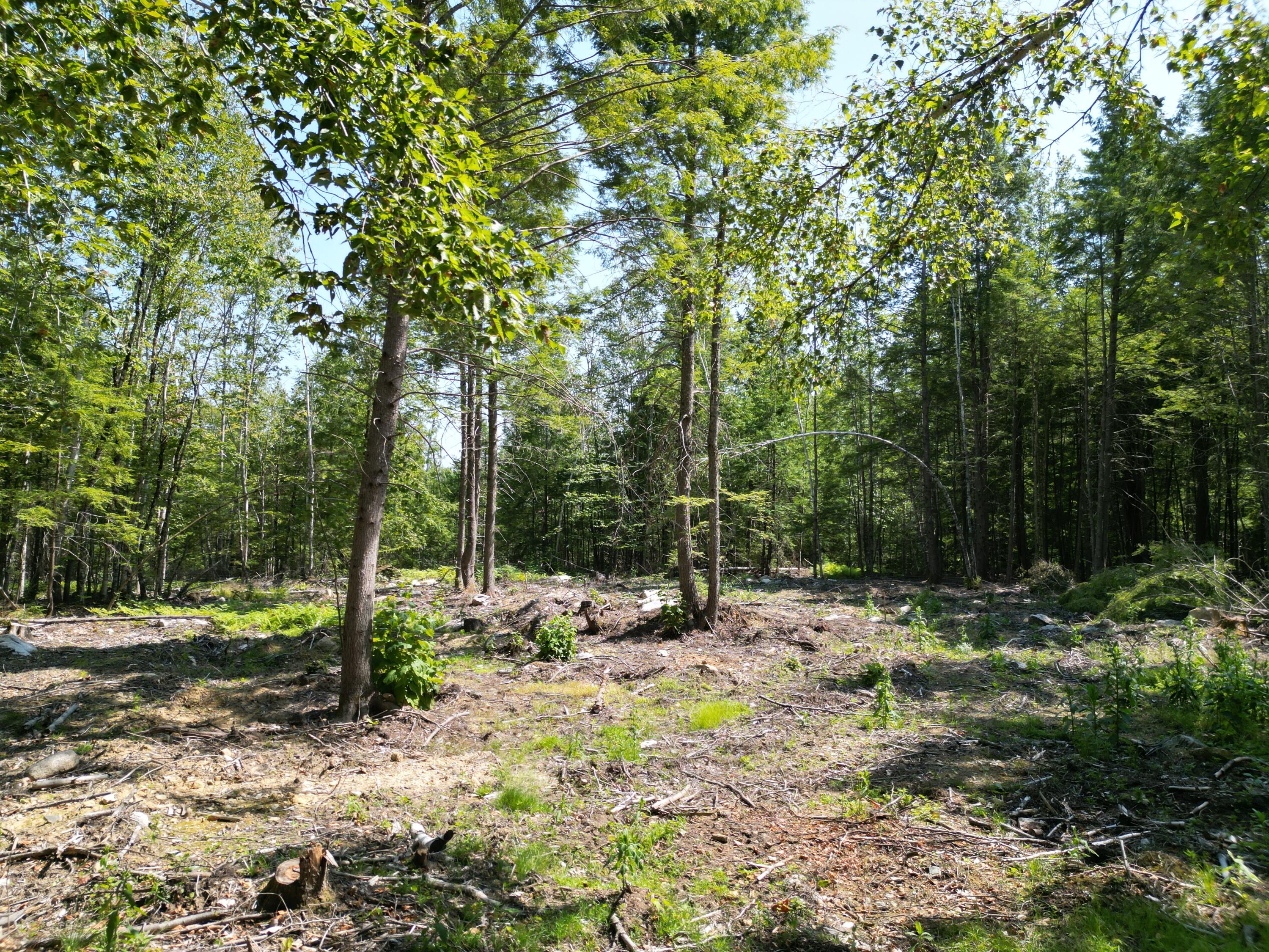 229 New Camp Road Lincoln, ME 04457 - Photo 19 of 21 DJI_0313
