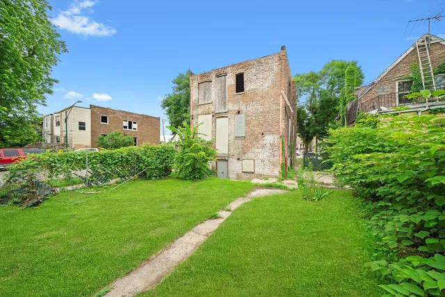 a view of backyard with plants and a large tree