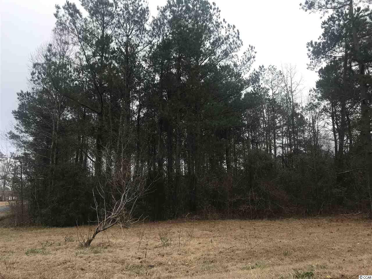 Tbd Lot 30 Tbd Road Aynor, SC 29544 - Photo 1 of 2 Gallery Image 1