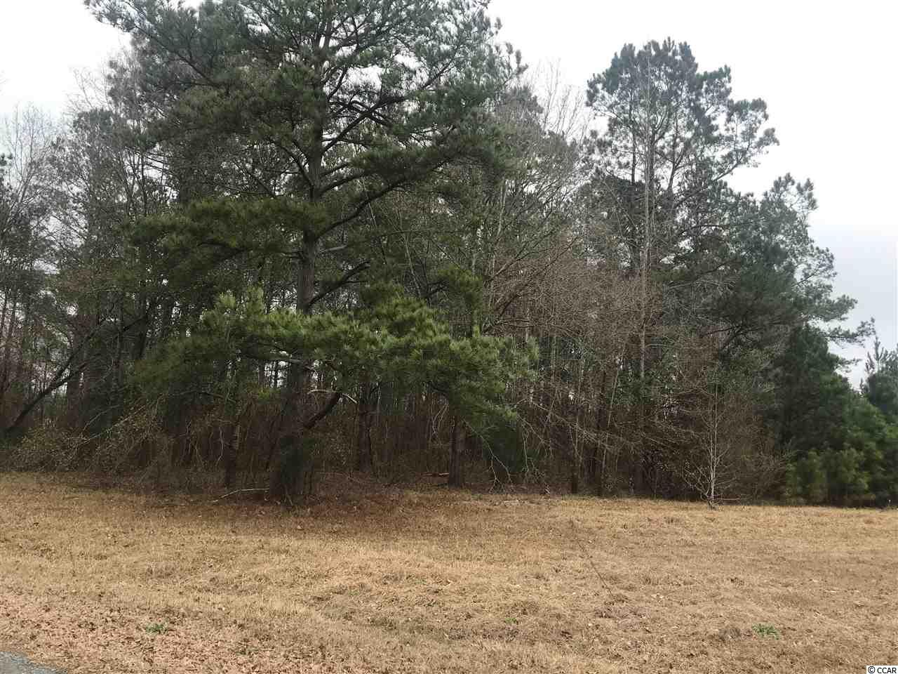 Tbd Lot 30 Tbd Road Aynor, SC 29544 - Photo 2 of 2 Gallery Image 2
