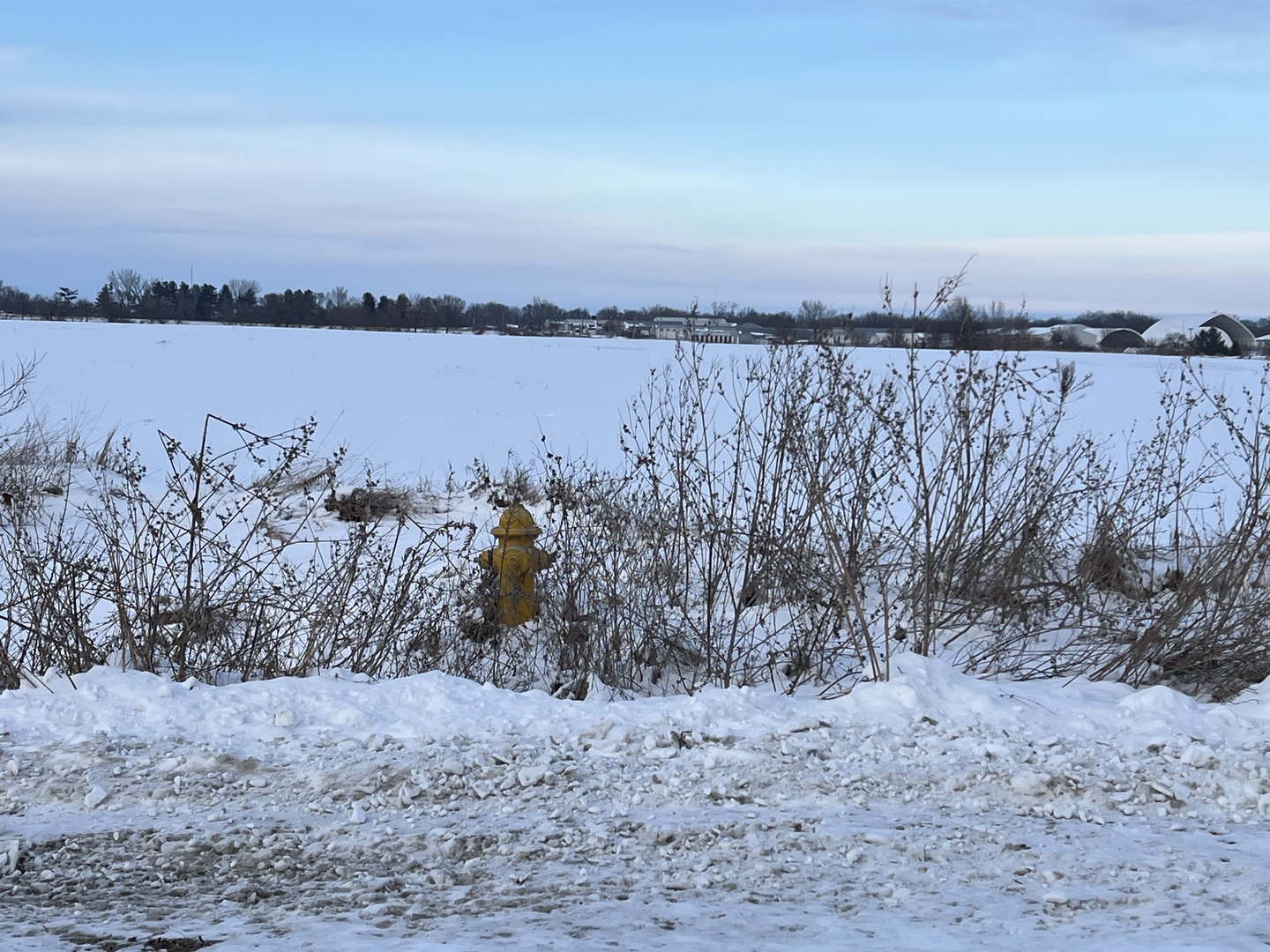 0 110th Avenue Buffalo, IA 52728 - Photo 3 of 5