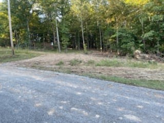 1626 Simmons Ridge Road Cornersville, TN 37047 - Photo 1 of 16 Gallery Image 1