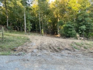 1626 Simmons Ridge Road Cornersville, TN 37047 - Photo 11 of 16 Gallery Image 11