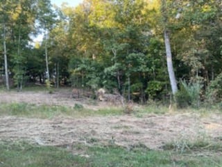 1626 Simmons Ridge Road Cornersville, TN 37047 - Photo 12 of 16 Gallery Image 12