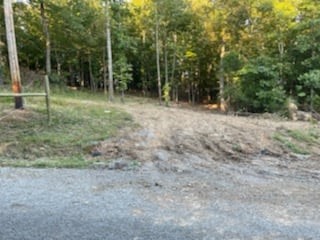 1626 Simmons Ridge Road Cornersville, TN 37047 - Photo 13 of 16 Gallery Image 13