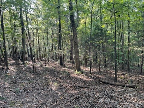 1626 Simmons Ridge Road Cornersville, TN 37047 - Photo 14 of 16 Gallery Image 14