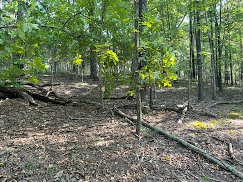 1626 Simmons Ridge Road Cornersville, TN 37047 - Photo 15 of 16 Gallery Image 15