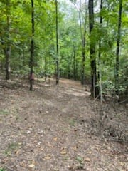 1626 Simmons Ridge Road Cornersville, TN 37047 - Photo 5 of 16 Gallery Image 5