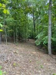 1626 Simmons Ridge Road Cornersville, TN 37047 - Photo 7 of 16 Gallery Image 7