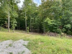 1626 Simmons Ridge Road Cornersville, TN 37047 - Photo 8 of 16 Gallery Image 8