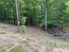 1626 Simmons Ridge Road Cornersville, TN 37047 - Photo 9 of 16 Gallery Image 9