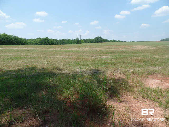 500 County Road 462 Kinston, AL 36453 - Photo 1 of 25