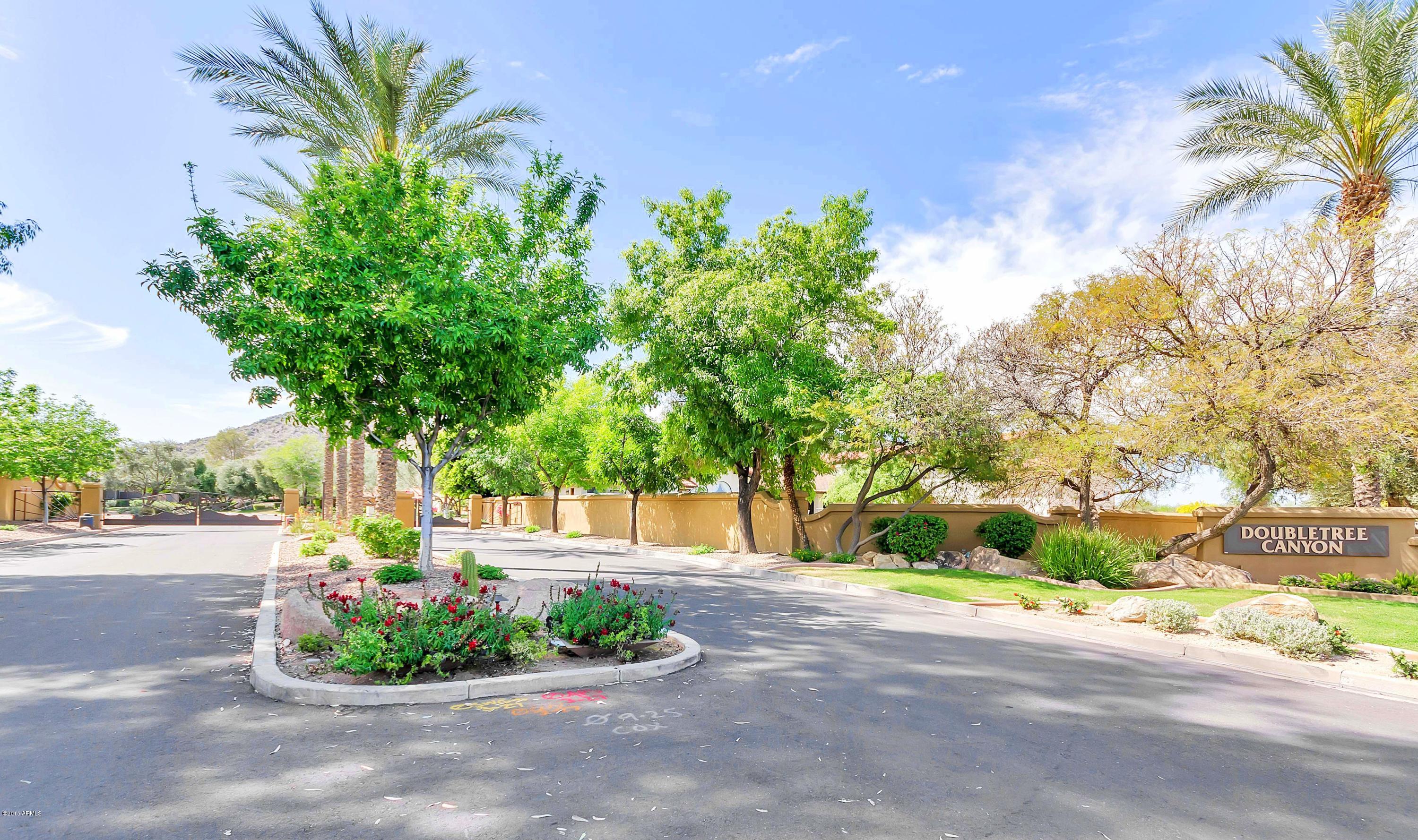 8818 North 47th Place Phoenix, AZ 85028 - Photo 39 of 40 40_backyard.jpg