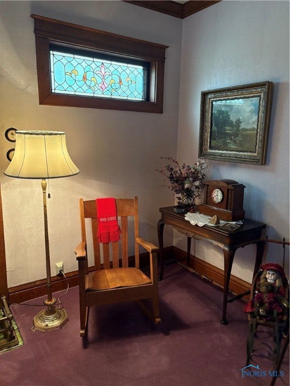 421 Farnsworth Road Waterville, OH 43566 - Photo 9 of 50 Gallery Image 9