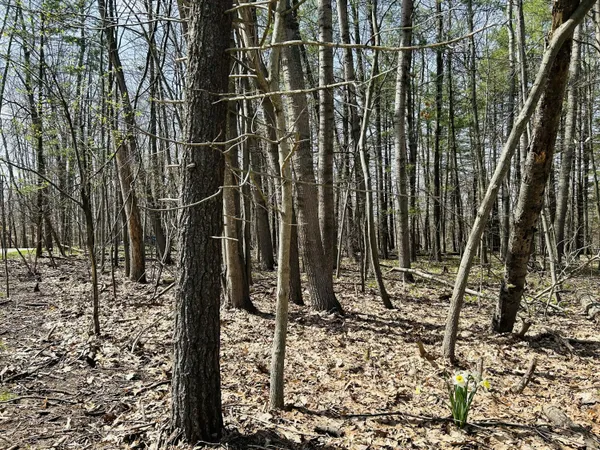 $10,500 | 6718 Beechnut Ridge, Unit 239, Canadian Lakes, MI 49346