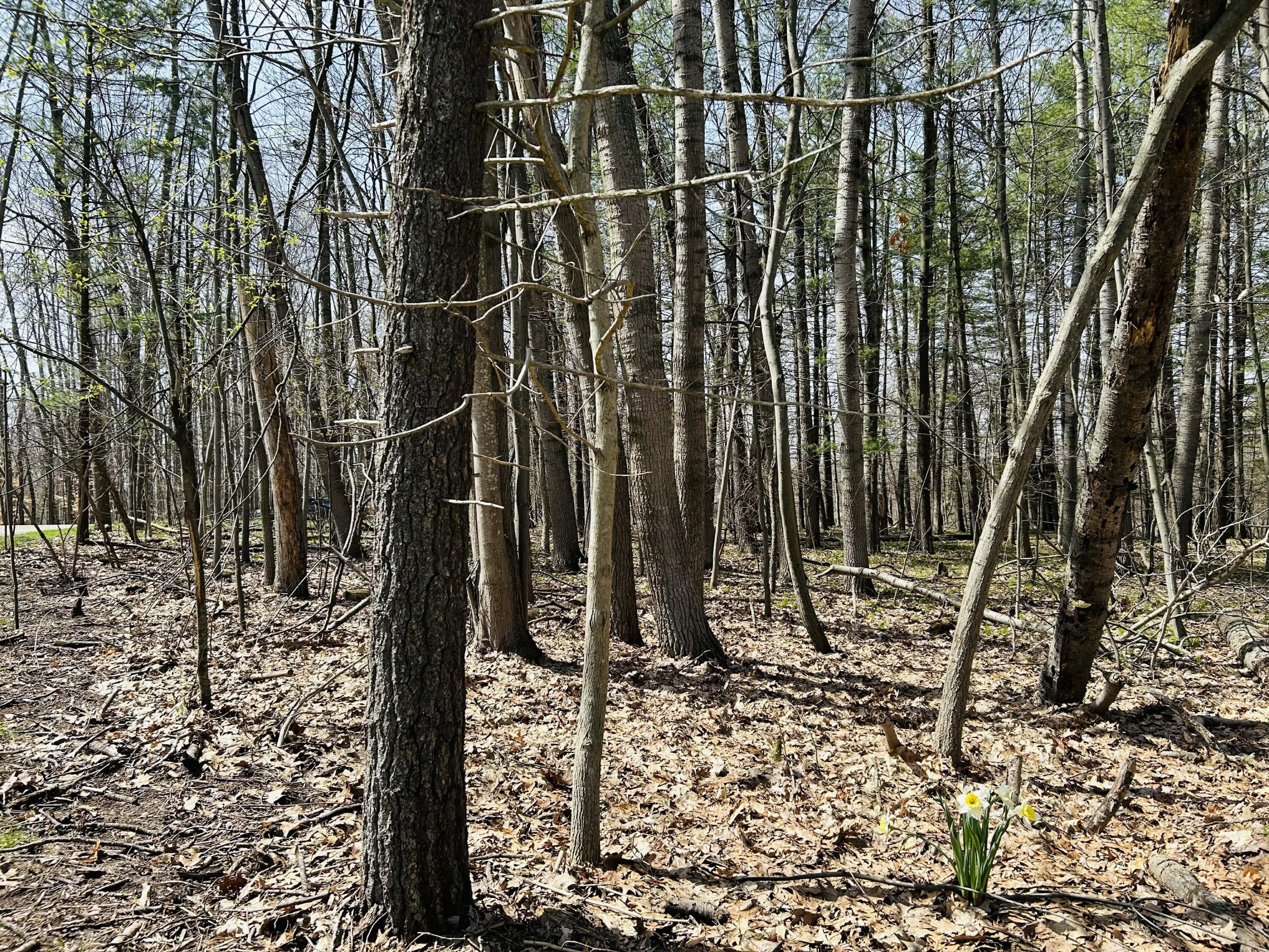 d976d8fa-f573-4e86-836b-57a67f4b0c61