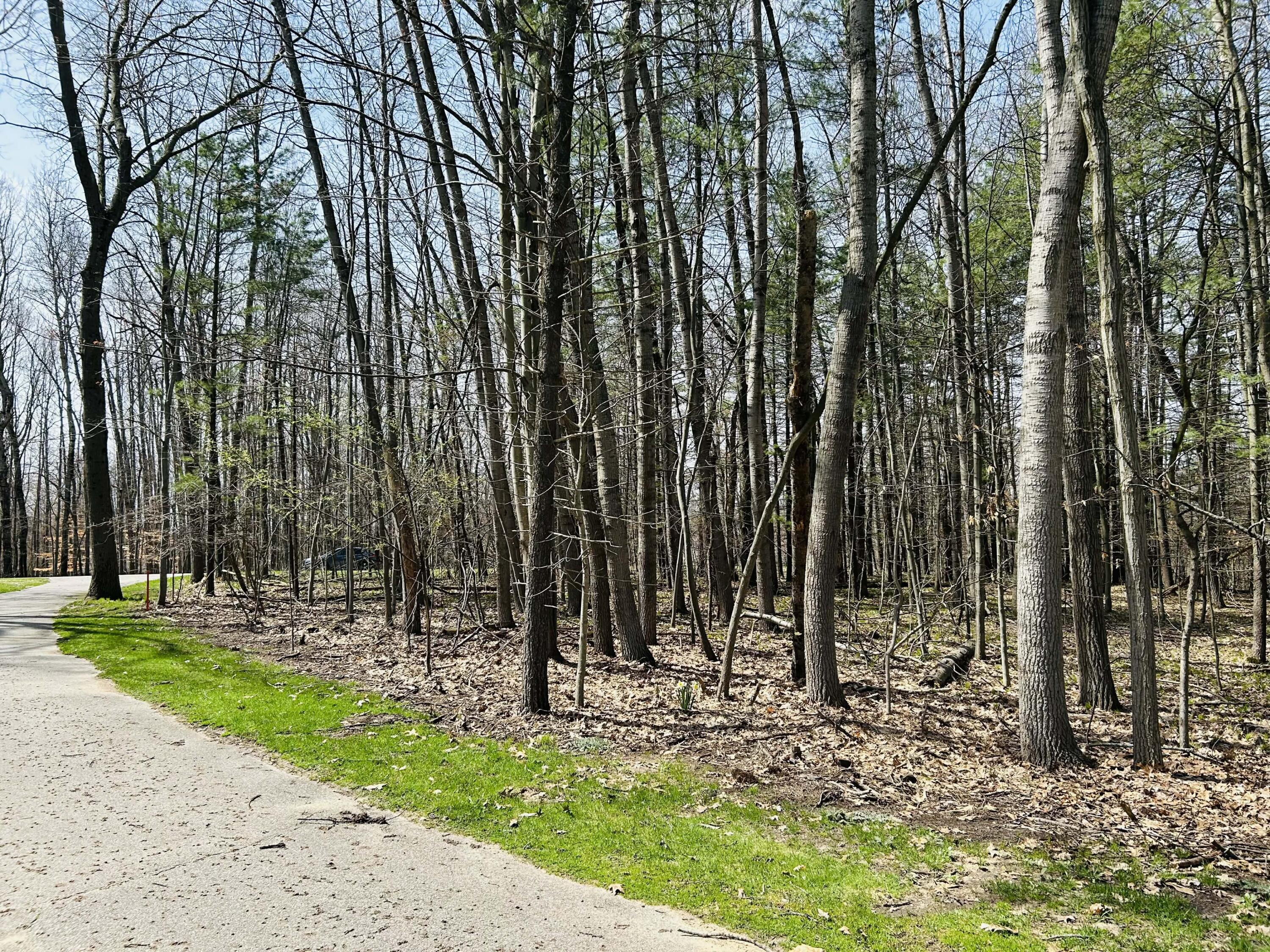 6718 Beechnut Ridge, Unit 239 Canadian Lakes, MI 49346 - Photo 2 of 18 e95a3c7d-a068-4902-8505-d4b63fb94f0b