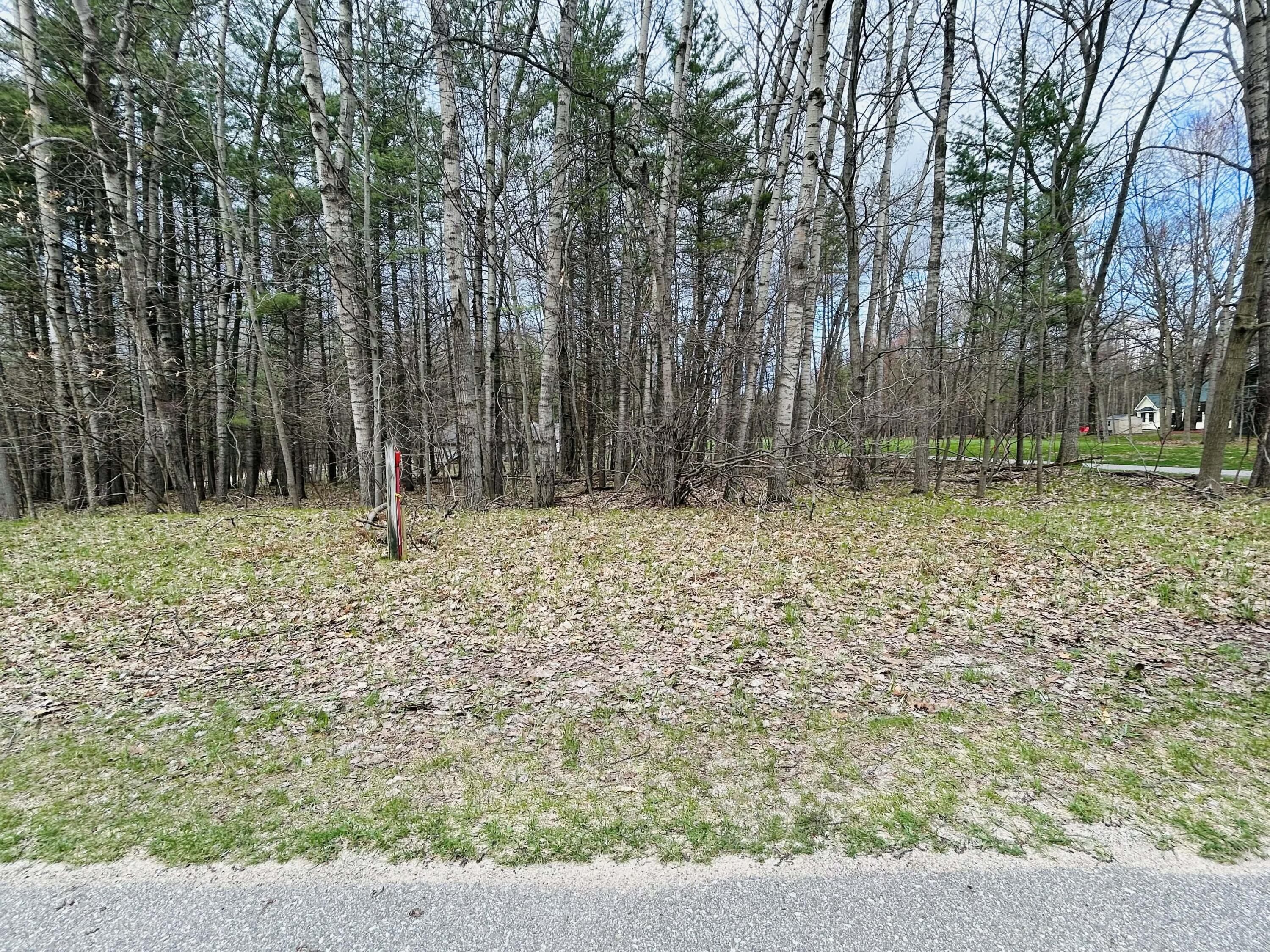 6718 Beechnut Ridge, Unit 239 Canadian Lakes, MI 49346 - Photo 5 of 18 16a36d47-8163-4005-80bc-cb7e8ce9b948