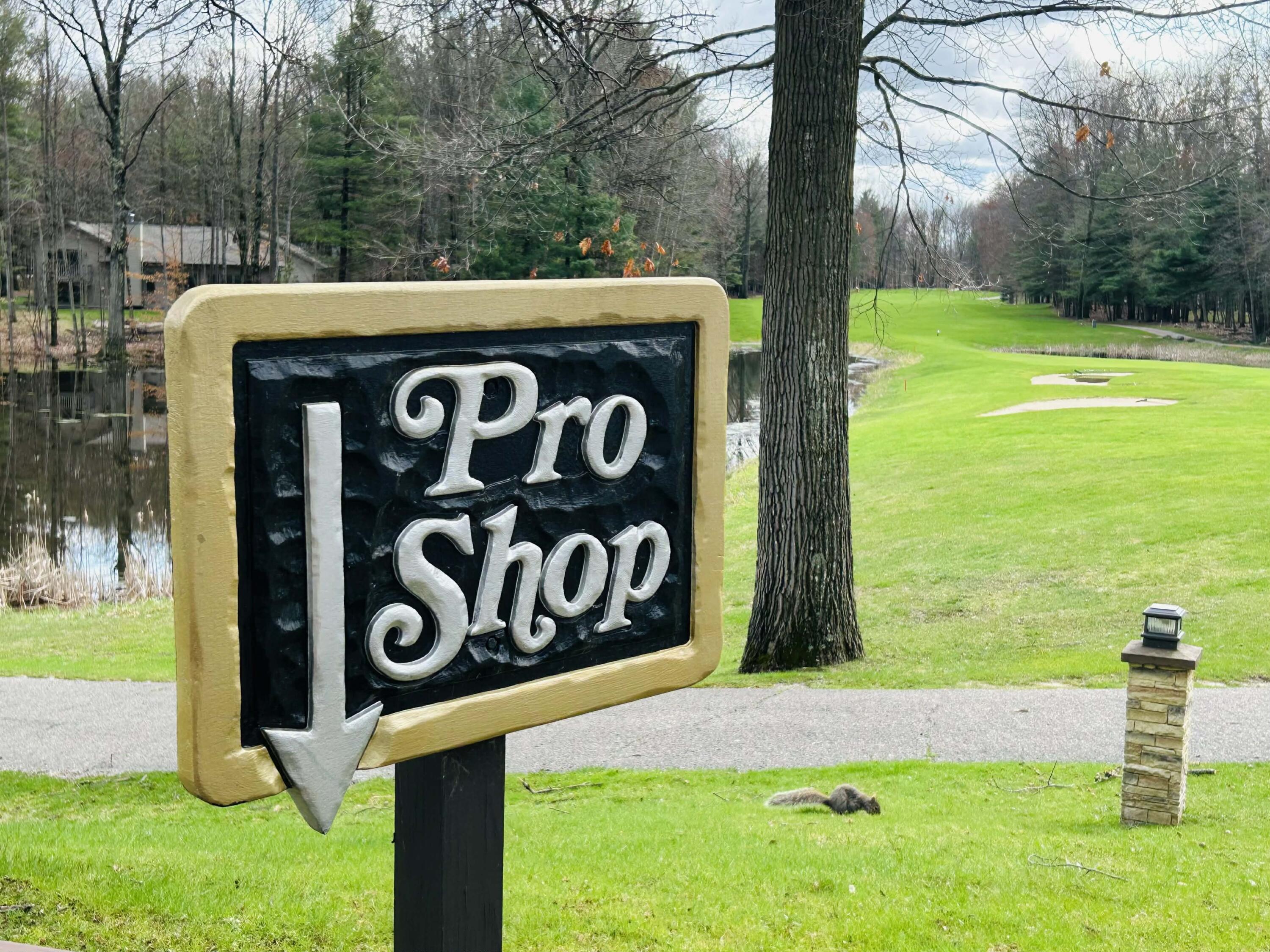 6718 Beechnut Ridge, Unit 239 Canadian Lakes, MI 49346 - Photo 10 of 18 0050cf4f-a126-4b22-a2b0-29002fbb0e0a