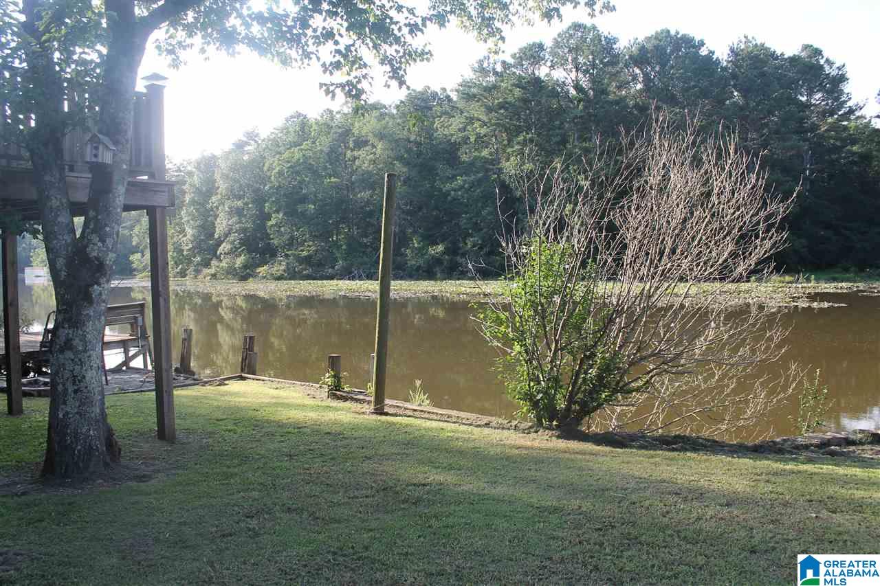 3490 County Road 29 Oneonta, AL 35121 - Photo 3 of 13
