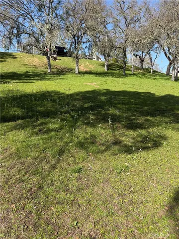 a view of grassy field with benches and trees all around