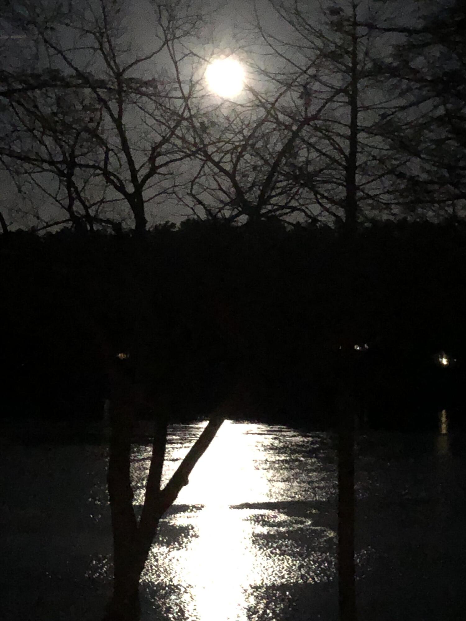 105 Cushman Point Road Wiscasset, ME 04578 - Photo 114 of 114 Moonrise